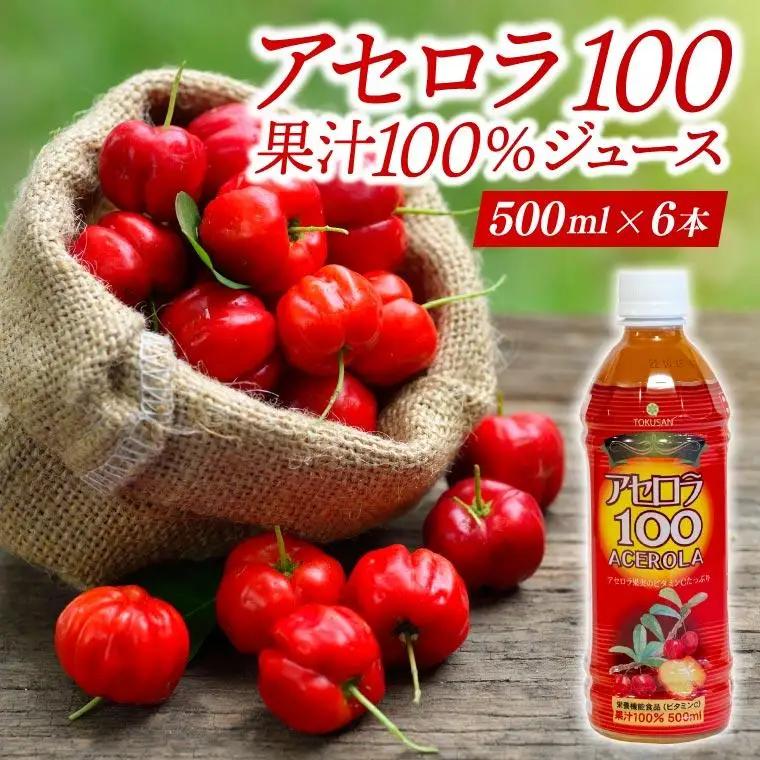アセロラ100 ストレート100%ジュース(500ml×6本)｜アセロラ フルーツ 果物 くだもの アセロラジュース ジュース フルーツジュース ストレート 果汁 沖縄県 おきなわ 豊見城市(AD002-1)