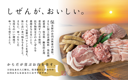 保美豚プレミアム・真空冷凍肉無添加　3品目入り×2セット ／ 豚肉 加工品 ロースカツ用 モモ ウインナー 完全薬剤不使用 愛知県 特産品 産地直送 田原市 渥美半島