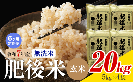 【6ヶ月定期便】熊本県産 肥後米 無洗米 玄米 20kg 1袋5kg 米 お米 令和7年産 九州産 熊本県産 ブレンド米 送料無料《お申込み翌月に出荷予定》玄米 無洗米 米