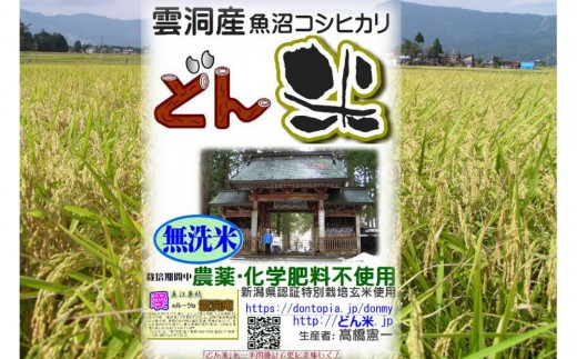 【頒布会】南魚沼産「どん米」無洗米真空パック4kg×５ヶ月　ちょっと！うるさいよ！炊き方