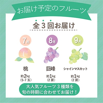 【発送月固定定期便】山梨県産旬のおいしいフルーツ【桃・巨峰・シャインマスカット】定期便 全3回【配送不可地域：離島・沖縄県】