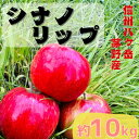 【ふるさと納税】【2025年先行予約】長野直送!信州八ヶ岳のりんご シナノリップ約10kg(24～36玉)蓼科高原【配送不可地域：離島】【1605262】