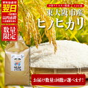 【ふるさと納税】【 数量限定 スピード発送 !!】 令和6年度産 東大阪市産 ヒノヒカリ トライ米【 お米マイスター厳選 米 お米 白米 コメ ひのひかり 精米 新生活 応援 スピード配送 】