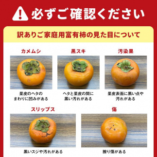 ◆先行予約◆和歌山県産 富有柿＜ご家庭用＞約7.5kg【2024年11月上旬以降発送】【九度山町産】【MG2】