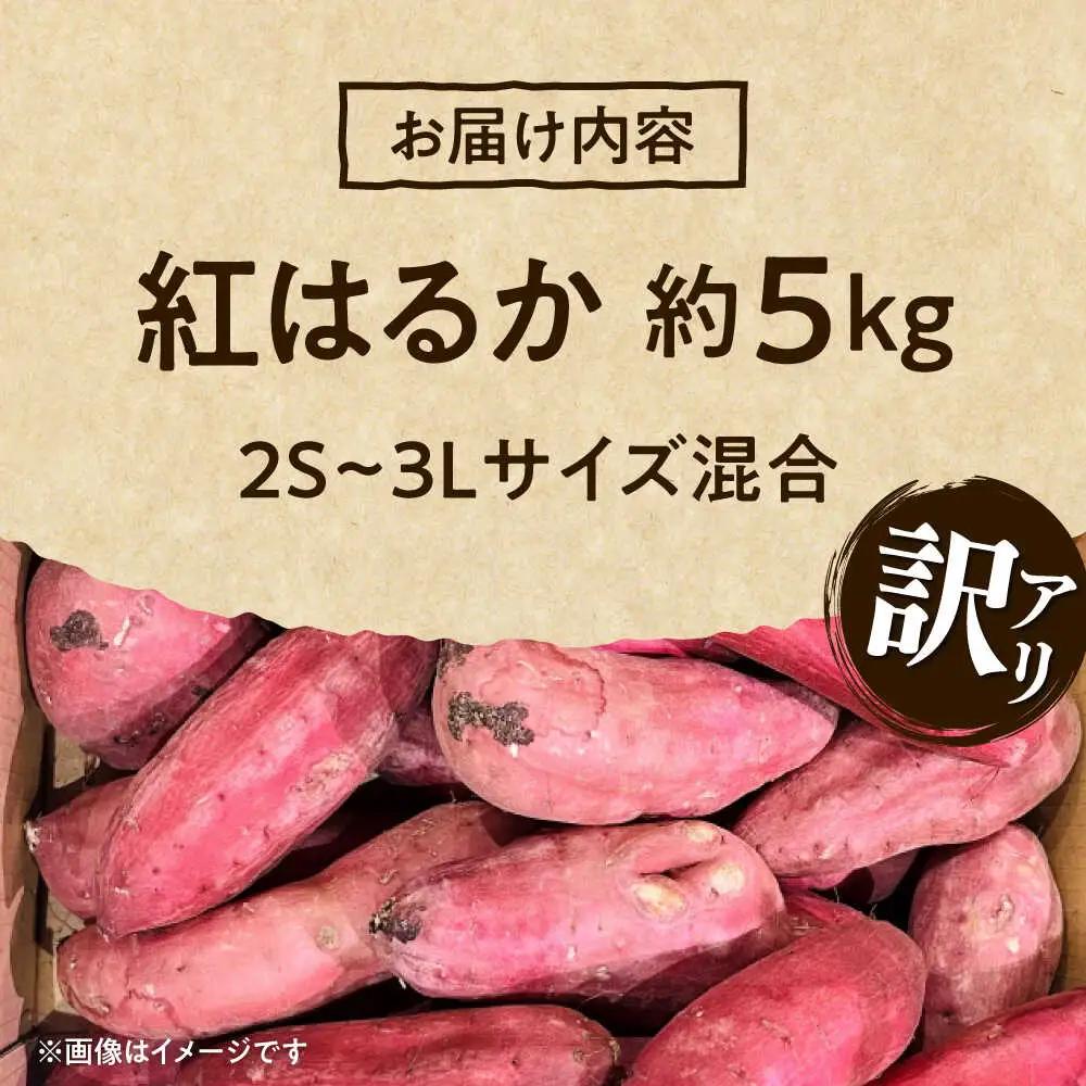【訳あり】紅はるか さつまいも 約5kg 2S?3Lサイズ混合 さつまいも[AYAT010]