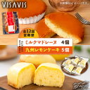 【ふるさと納税】【全12回定期便】VISAVIS菓子 2種セット 計9点 ＜株式会社シークス＞那珂川市 ステンドグラス インテリア 定期便 バターケーキ お菓子 スイーツ [GAU009]100000 100000円