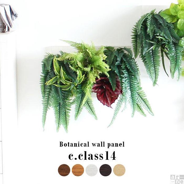 【ふるさと納税】Botanical c.class 14