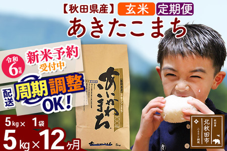 ※一時休止中※《定期便12ヶ月》秋田県産 あきたこまち 5kg【玄米】(5kg小分け袋) 令和5年産 発送時期が選べる 隔月お届けOK お米 あいかわこまち