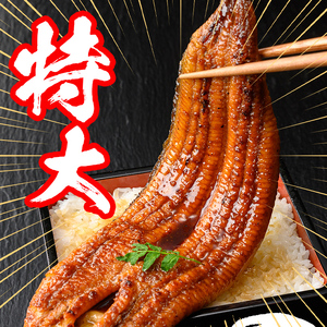 s737 【隔月・定期便6回】＼特大サイズ／ 鹿児島県産 鰻蒲焼真空セット！(計約6.6kg・約220g×5尾×6回) タレ・山椒付！ 鹿児島 九州産 国産 うなぎ ウナギ 鰻 土用の丑の日 蒲焼き 