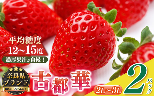 平群の古都華 2L～3Lサイズ 1ケース （2パック） |  先行予約 フルーツ 果物 くだもの ブランド いちご 苺  古都華 ことか 品種 特徴 糖度 ルビー色 旬 ふるさと納税 奈良県 平群 町 