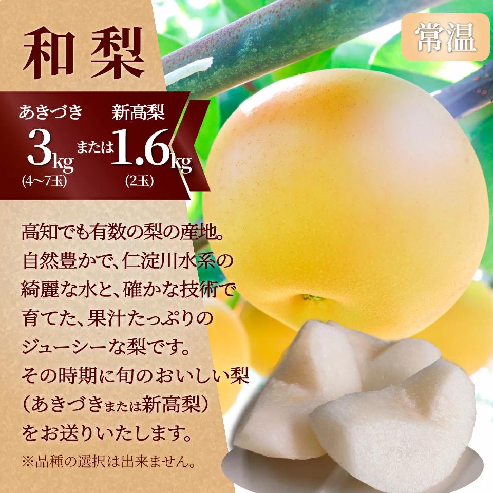 （全2回）佐川町産フルーツ 定期便 　いちご 梨