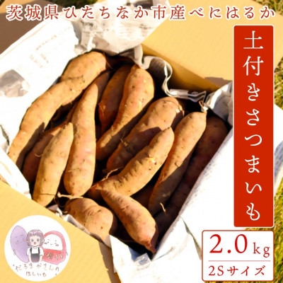 
            ＜先行受付＞11月下旬より発送!茨城県 ひたちなか産 さつまいも 紅はるか 箱込2kg＜訳あり＞【1631624】
          