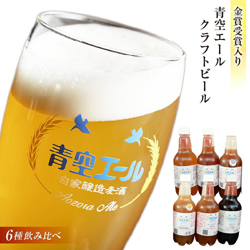 【ふるさと納税】青空エールこだわりのクラフトビール飲み比べ詰め合わせセット6種6本（500mlペットボトル×6本） 計3,000ml お酒 青空エール クラフトビール 飲み比べ 詰め合わせ セット 醸造 手作り 冷蔵 ビール ビールコンテスト お取り寄せ 宮崎県 宮崎市 送料無料
