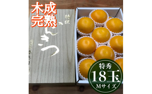 
            4月 まで 木成 完熟 させた 有田 はっさく 特秀 M × 18玉 2段詰 化粧箱 南泰園 みかん
          