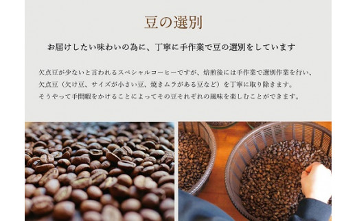T1【１ヶ月ごとの定期便】OTOMONI COFFEE店主お勧め豆をお届け！２５０g×１袋「豆」