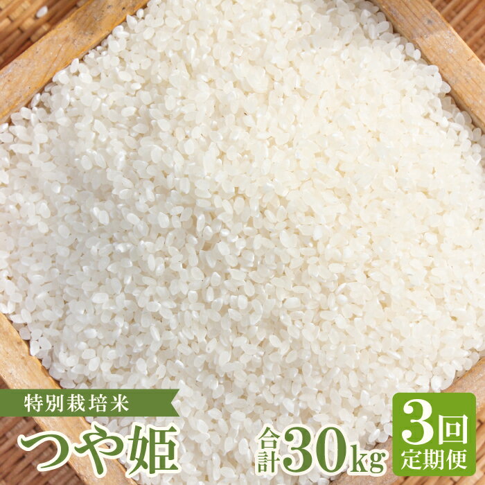 【ふるさと納税】【定期便】【新米】 特別栽培米 横尾衛門のつや姫 白米 10kg×3回 コース 3ヵ月 毎月お届け 精米 産地直送 つや姫 ご飯 弁当 おにぎり 昼食 特産品 ブランド米 お米 お取り寄せ