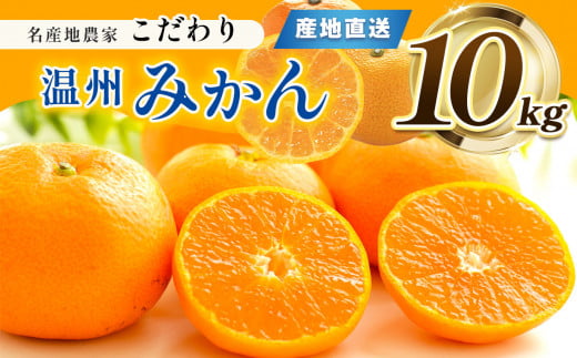 熊本県産 こだわり みかん 約 10kg 下田農園 | フルーツ 果物 くだもの 柑橘 柑橘類 ミカン みかん 熊本県 玉名市