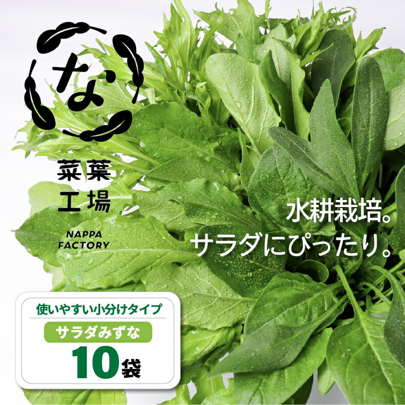 【ふるさと納税】 葉野菜 サラダ みずな | ほうれんそう ホウレンソウ 水菜 ミズナ 生食 野菜 セット 新鮮 健康 人気 おすすめ 高知県 南国市