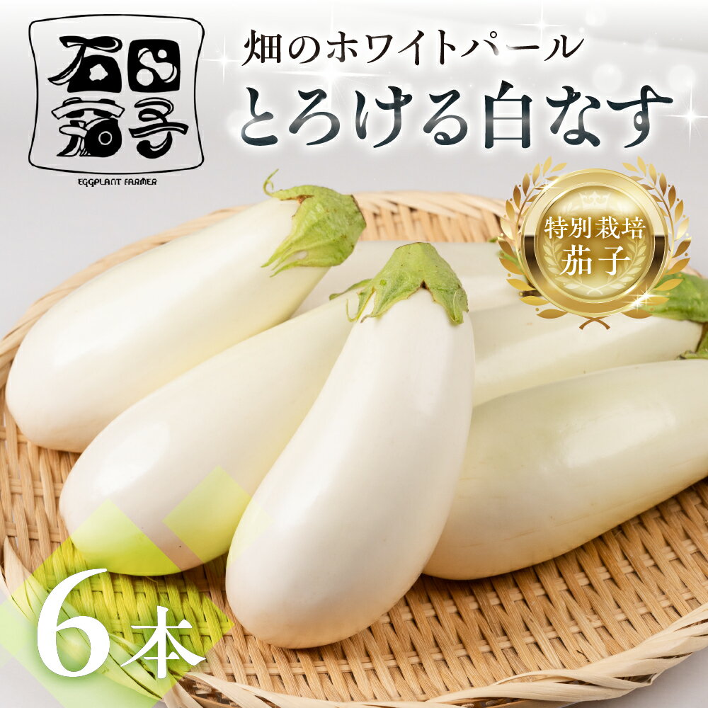 【ふるさと納税】≪TVで話題！≫白茄子 6本 ナス 茄子 なす なすび 白なす しろなす 白ナス 白茄子 野菜 旬 旬の野菜 糖度 石田茄子 お取り寄せ 健康 夕飯 おかず 愛知県 豊橋市 1万円 10000円