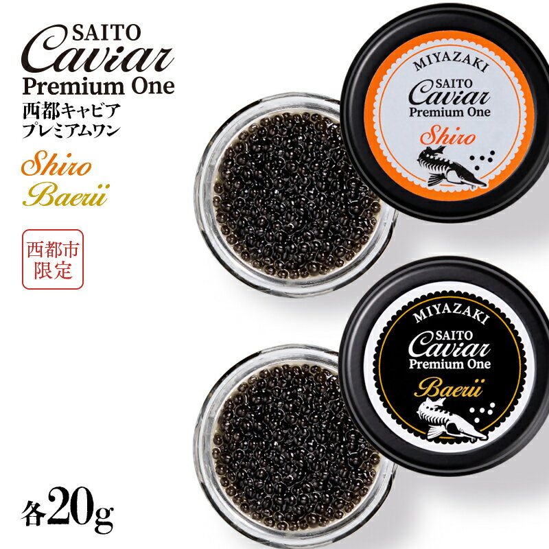 【ふるさと納税】キャビアSAITO CAVIAR PREMIUM ONE SHIRO＆BAERII（各20g）「西都限定」「国産」キャビア＜9-10＞西都市 化粧箱 シェルスプーン付