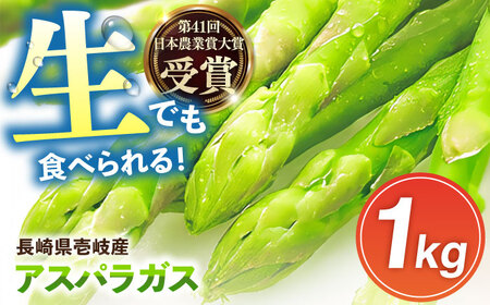 野菜 アスパラガス 壱岐産 1kg（L~2Lサイズ）《壱岐市》【壱岐市農業協同組合】[JBO004] アスパラ 13000 13000円