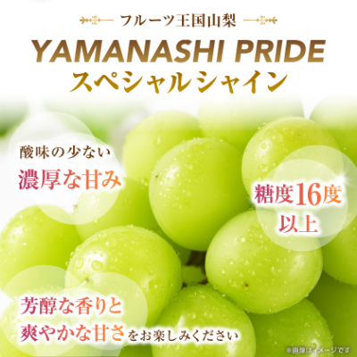 フルーツ王国山梨産厳選 シャインマスカット 1房(約500-600g)【配送不可地域：離島】