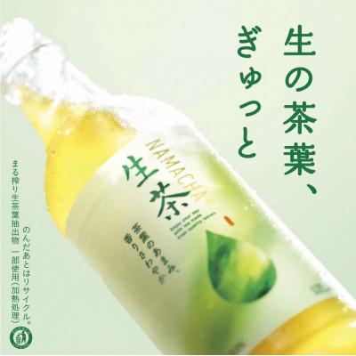 ふるさと納税 彦根市 【キリン】生茶 525ml×24本