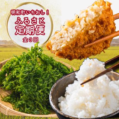 ふるさと納税 明和町 明和町 ふるさと 定期便 (全3回)