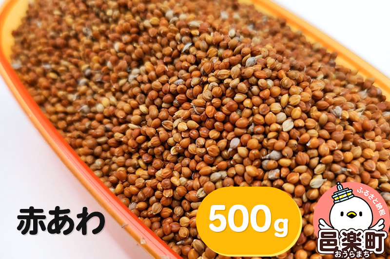 
            赤あわ 500g×1袋 サイトウ・コーポレーション 飼料
          
