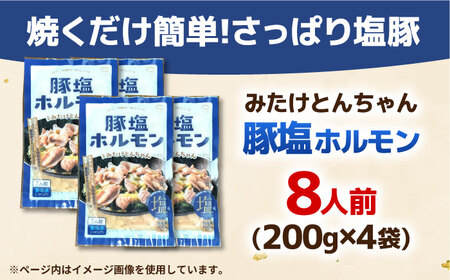 岐阜県産豚もつの鉄板焼き「元祖みたけとんちゃん」豚塩味（8人前） / モツ もつ 白もつ ホルモン / 御嵩町 / 藤よし[AVAA039]