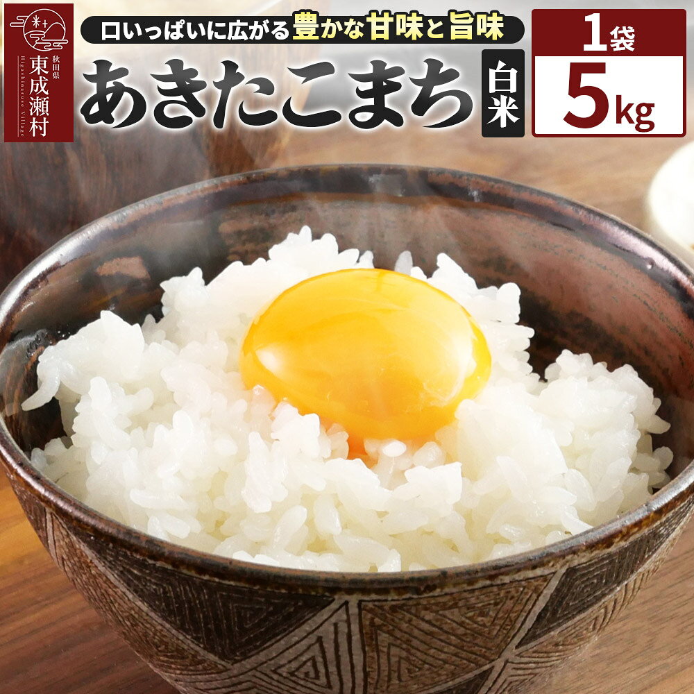 【ふるさと納税】米【白米】令和7年産 東成瀬村産 あきたこまち 5kg（5kg×1袋）