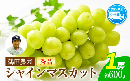 【秀品】先行予約 シャインマスカット 約600g (1房)  フルーツ 果物 送料無料 葡萄 ぶどう マスカット  鶴田農園 熊本県荒尾市産《8月下旬-9月下旬頃出荷》 美味しいシャインマスカット 旬のシャインマスカット ジューシーシャインマスカット フルーツシャインマスカット