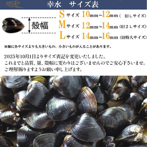 宍道湖産 冷凍 しじみ Ｓサイズ  2.4kg（240ｇ×10袋) 殻幅10mm～12mm ）| しじみ