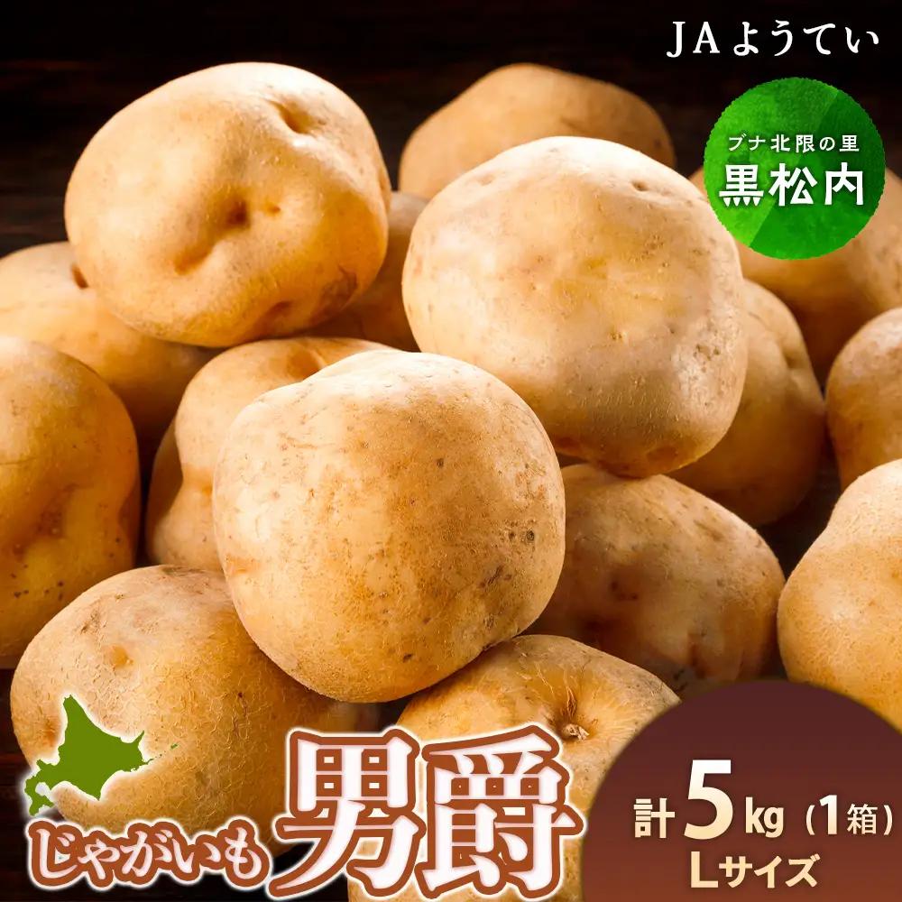 【2026年秋発送 先行予約】じゃがいも 馬鈴薯（男爵）Ｌサイズ　5kｇ＜JAようてい＞
