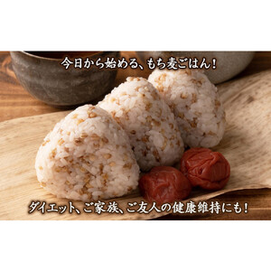【3ヶ月定期便】もち麦 (400g×2袋)【合計2400g 全6袋】