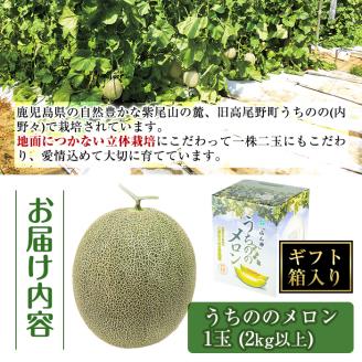 i915 ＜2025年5月下旬～7月下旬の間に発送予定＞うちののメロン1玉(ギフト箱入り) 果物 くだもの フルーツ めろん ギフト 贈答 青肉 国産 九州産 鹿児島県産 【山ん神】