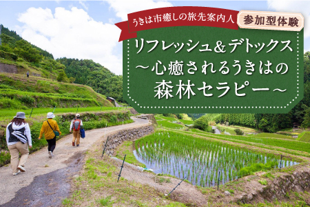 【参加型体験】リフレッシュ&デトックス 心癒されるうきはの森林セラピー ／ 癒やし リフレッシュ 森 うきは市