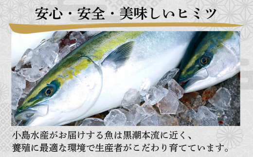刺身 定期便 4ヶ月 小島水産 がお届けする！ 美味しい お刺身 （ 鮮魚 下処理済 ） 産地直送 4回（ カンパチ カツオ 鯛 ブリ ）  新鮮 定期 刺身 魚貝 かんぱち 勘八 鰹 かつお カツオ