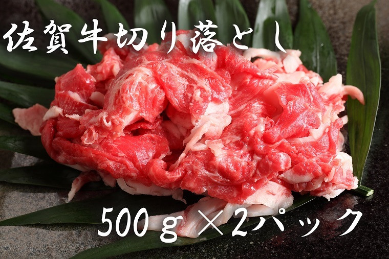 
BF012 佐賀県産和牛切り落とし（５００ｇ×２P)
