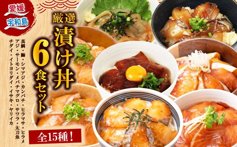 ＼10営業日以内発送／ 漬丼 厳選 活締め 全15種 お任せ 漬け丼 6食 セット 南予ビージョイ 真鯛 鰤 シマアジ カンパチ ヒラマサ ヒラメ アジ サーモン メバチマグロ サワラ 太刀魚 チダイ イトヨリダイ イサキ ヤリイカ 食べ比べ づけ丼 人気 加工品 新鮮 水産品 漬け 刺身 海鮮 海鮮丼 数量限定 愛媛 宇和島 D013-150019