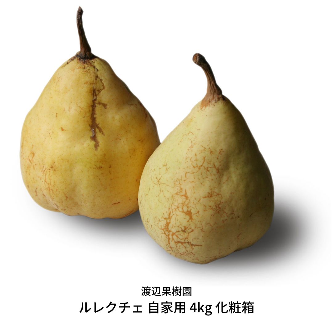 【ふるさと納税】ル レクチェ 自家用 4kg（10〜14玉）西洋梨 ル レクチエ 洋梨 化粧箱 洋ナシ ル・レクチェ [渡辺果樹園] 【018S021】