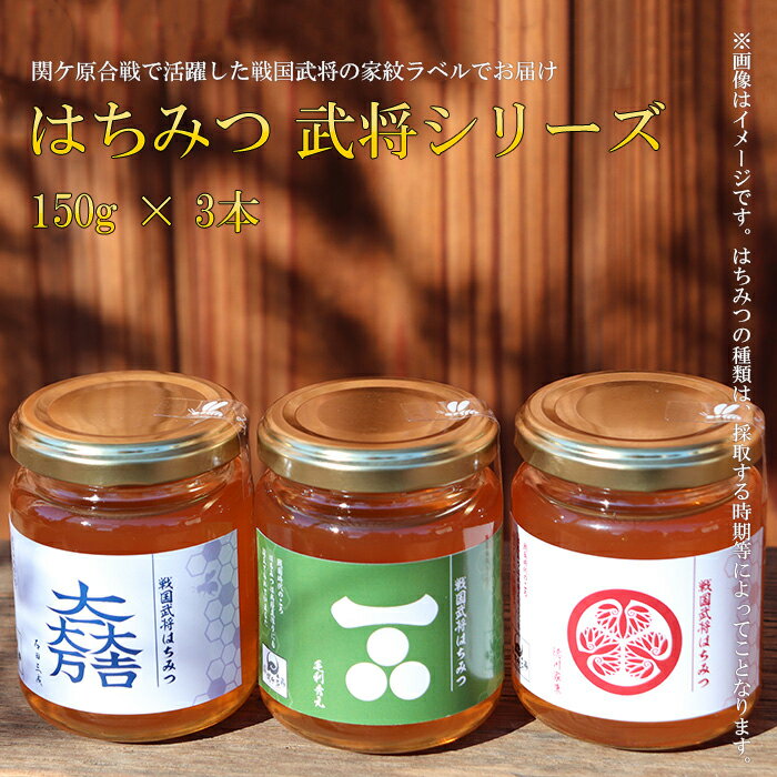 【ふるさと納税】E-24 はちみつ150g3本 武将シリ−ズ