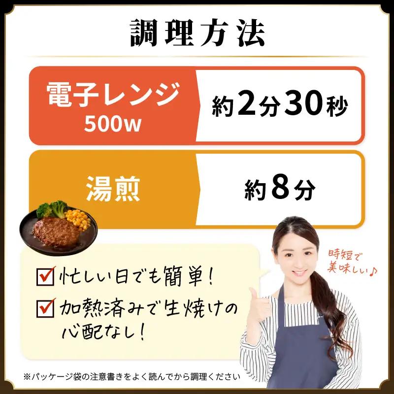 デミグラスハンバーグ 10個入り 簡単調理 ハンバーグ [A-0587]