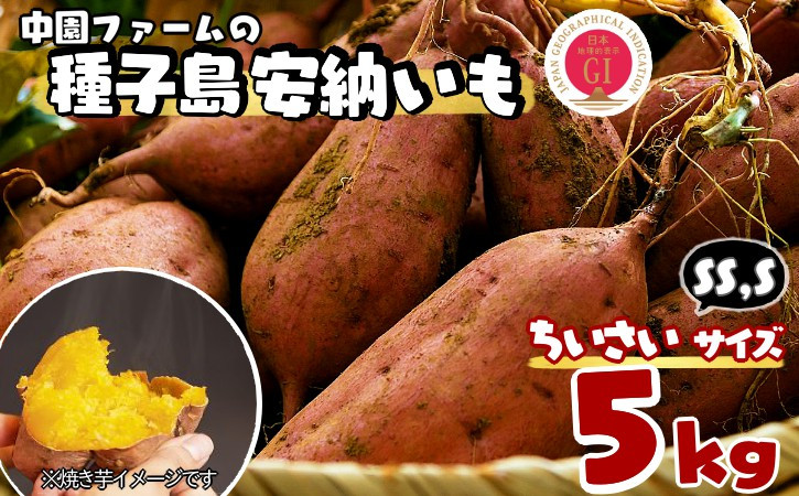 
                  種子島 中園ファーム 安納いも ( 生芋 ) SS / S サイズ 5kg　NFN457【250pt】// 安納芋 安納いも発祥の地 本場・安納地域産 糖度 熟成期間 G.I 保護制度 ブランド 金賞 生いも 芋 いも さつまいも 
                