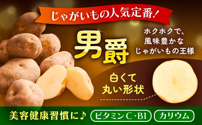 ジャガイモ じゃがいも 食べ比べ 野菜 男爵 国産 足寄町 北海道