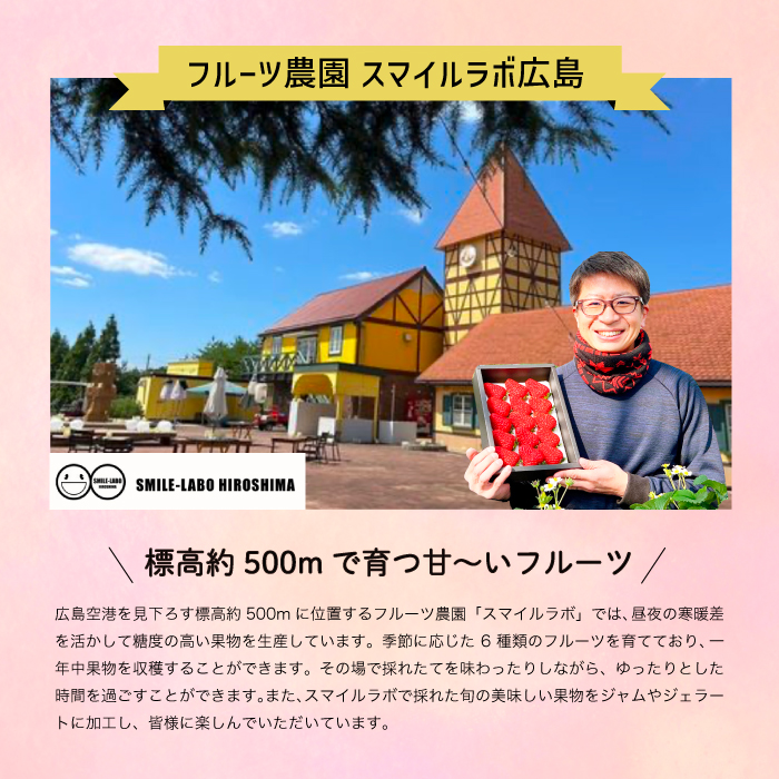 【フルーツ定期便全5回】いちご さくらんぼ 梨 ぶどう りんご 詰め合わせ 採れたて 新鮮 産地直送 果物 広島県 三原市 059014