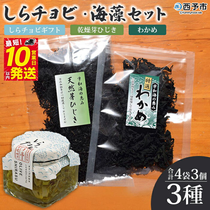 【ふるさと納税】＜しらチョビ 海藻セット＞ しらす シラス 魚 芽ひじき わかめ オイル漬け アンチョビ しらちょび ご飯のお供 パスタ おつまみ 加工品 贈答 ギフト 手土産 贈り物 特産品 今市水産 愛媛県 西予市 【常温】『最短10営業日以内に順次発送予定』