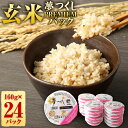 【ふるさと納税】 夢つくし 玄米 PREMIUMパック 24パック お米 米 玄米 ご飯 ごはん 1個160g レンジ 常温パックごはん 夢つくし 国産 九州産 福岡県産 直方市 送料無料