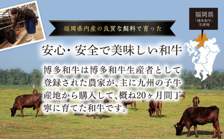 訳あり！【A4～A5】博多和牛焼肉切り落とし(肩ロース・バラ）　1kg(500ｇ×２P)　Y41