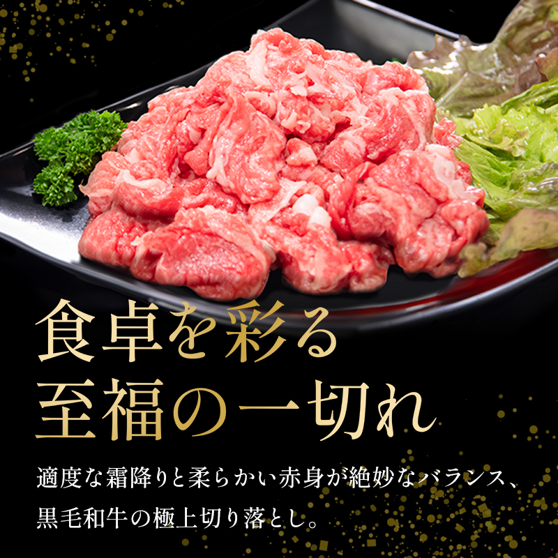 国産 黒毛和牛 阿波牛 赤身 切り落とし 1.5kg （500g×3P） 牛肉 切り落し 赤身 もも バラ A4 A5 等級 しゃぶしゃぶ すき焼き 炒め物 料理 おかず ごはん